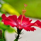 _CSC0159