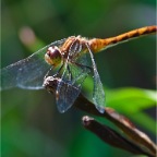 Pictures_1014
